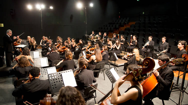 orquestra academica metropolitana