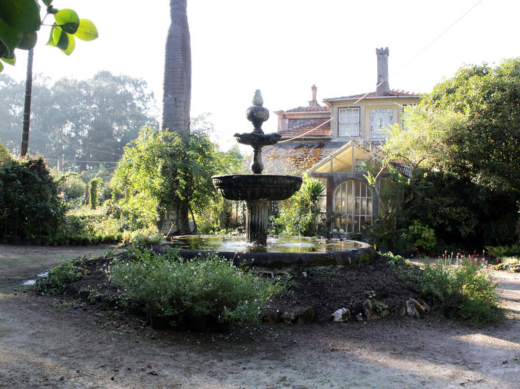 Faça uma visita guiada à Casa e Quinta de Villar d’Allen