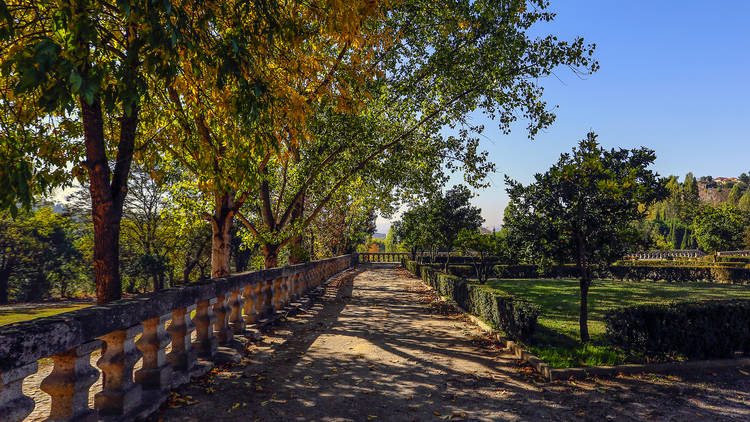 Quinta da Bonjóia