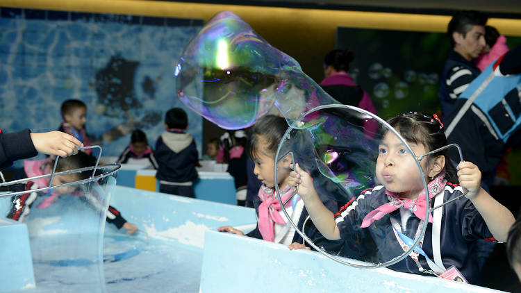 Temporada Zoom en Papalote Museo del Niño