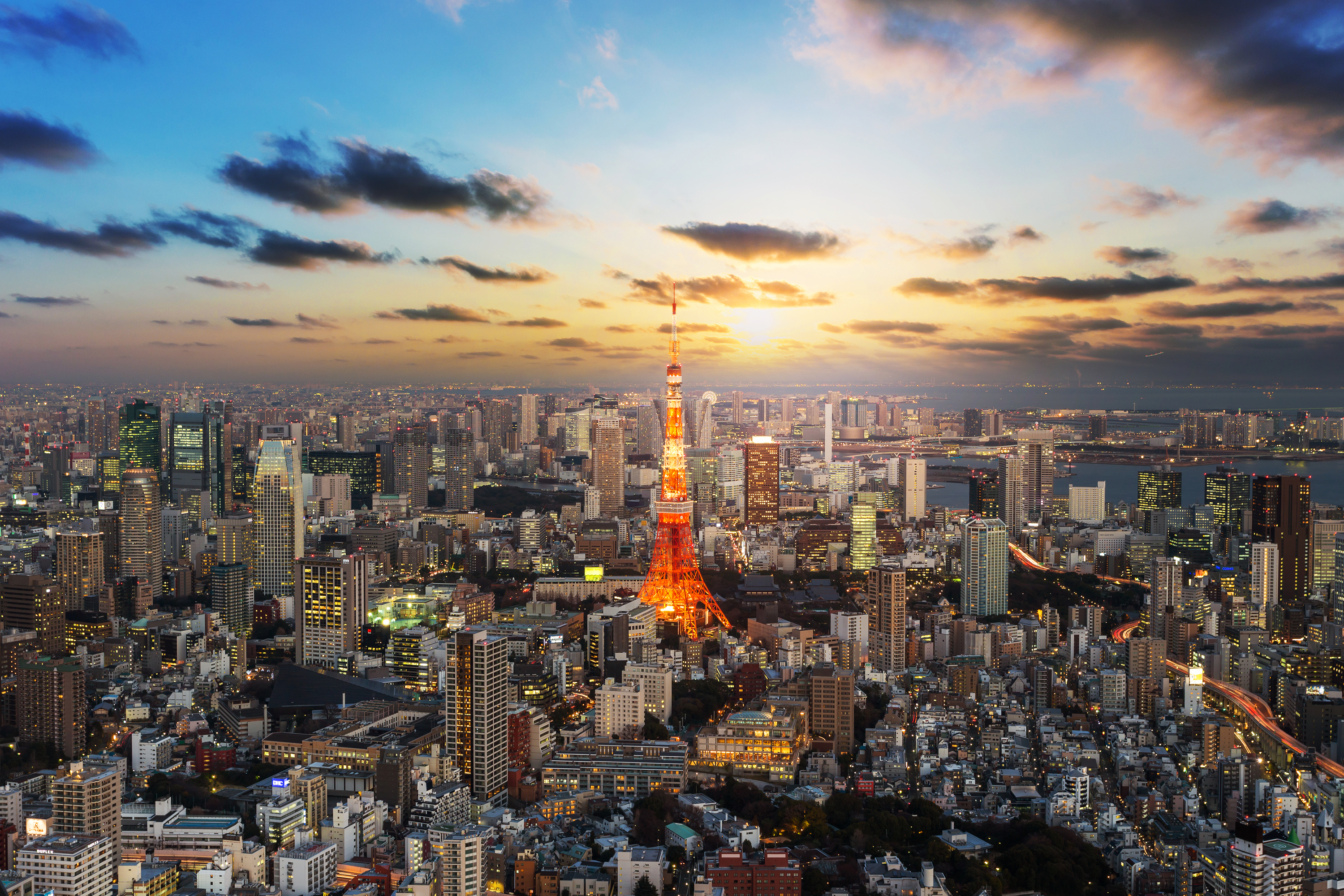 Tokyo out. Скайлайн Токио. Виды Токио. Токио панорама. Современная Япония.