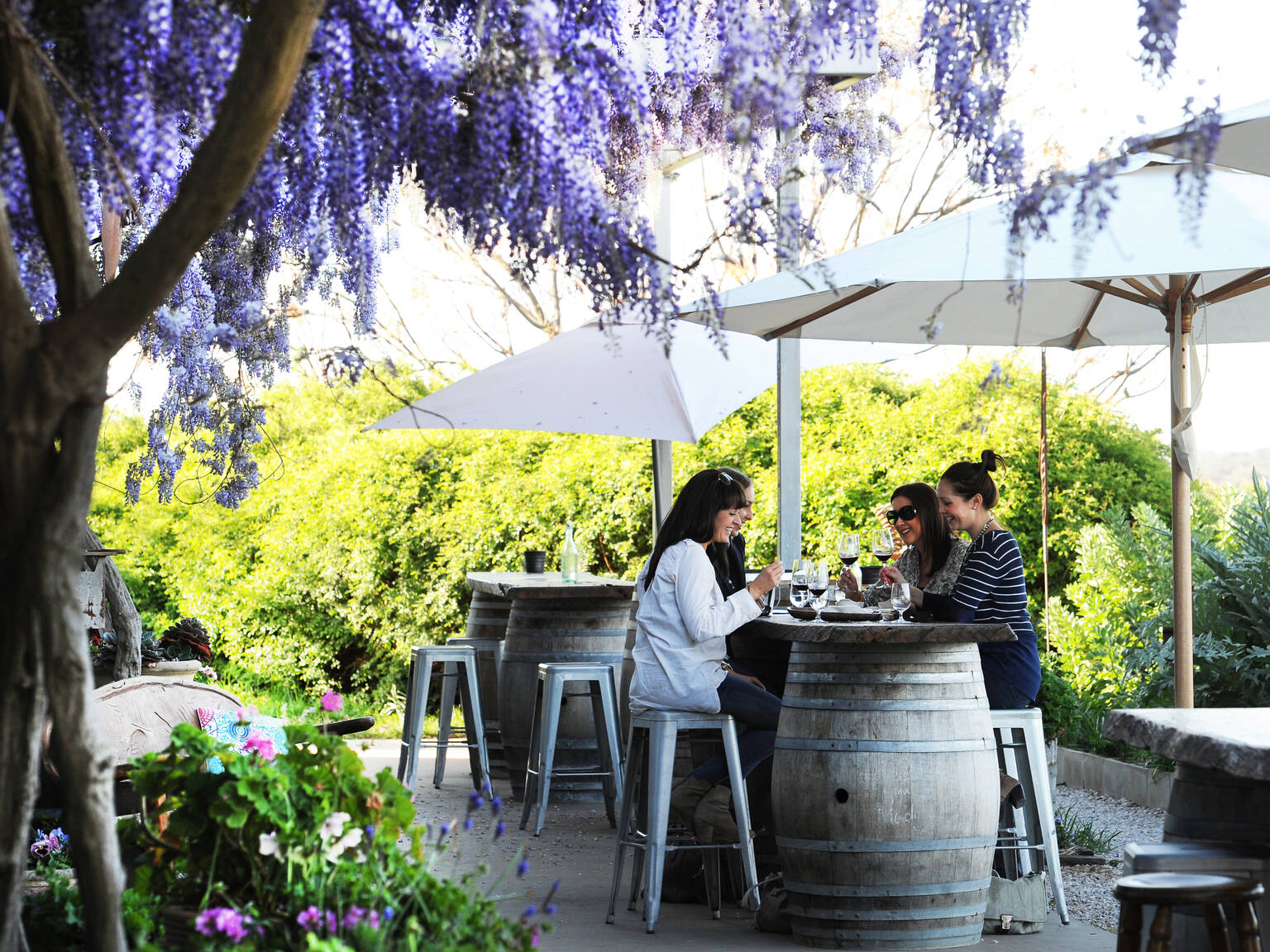 6 Best Mudgee Wineries To Visit Mudgee Winery Guide