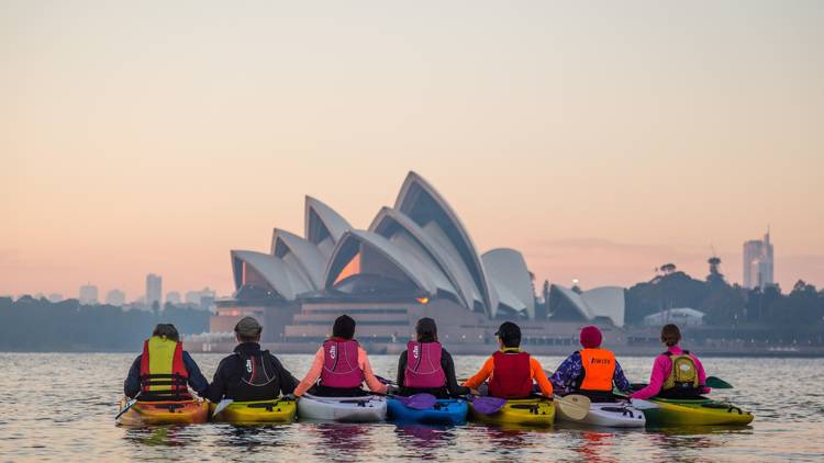 Paddle out on a kayaking tour of the Harbour