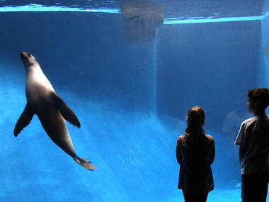 Track down your favourite critters at Melbourne Zoo Track down your favourite critters at Melbourne Zoo