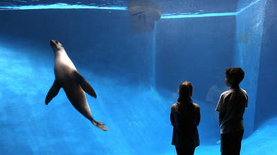 Track down your favourite critters at Melbourne Zoo Track down your favourite critters at Melbourne Zoo