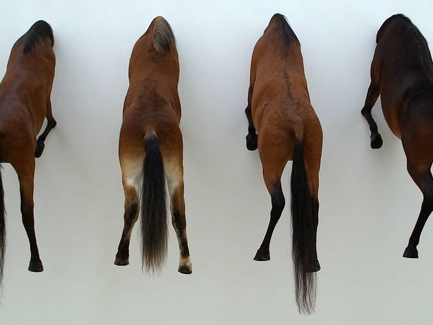 Maurizio Cattelan Maurizio Cattelan