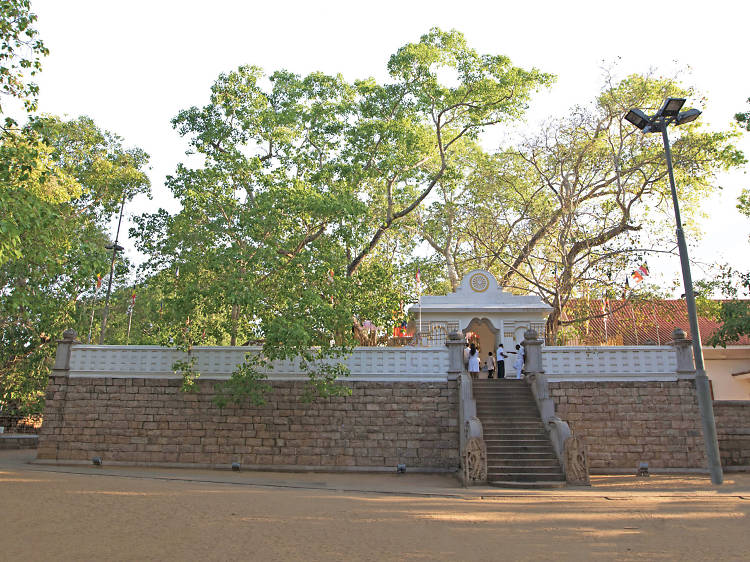 Jaya Sri Maha Bodhi