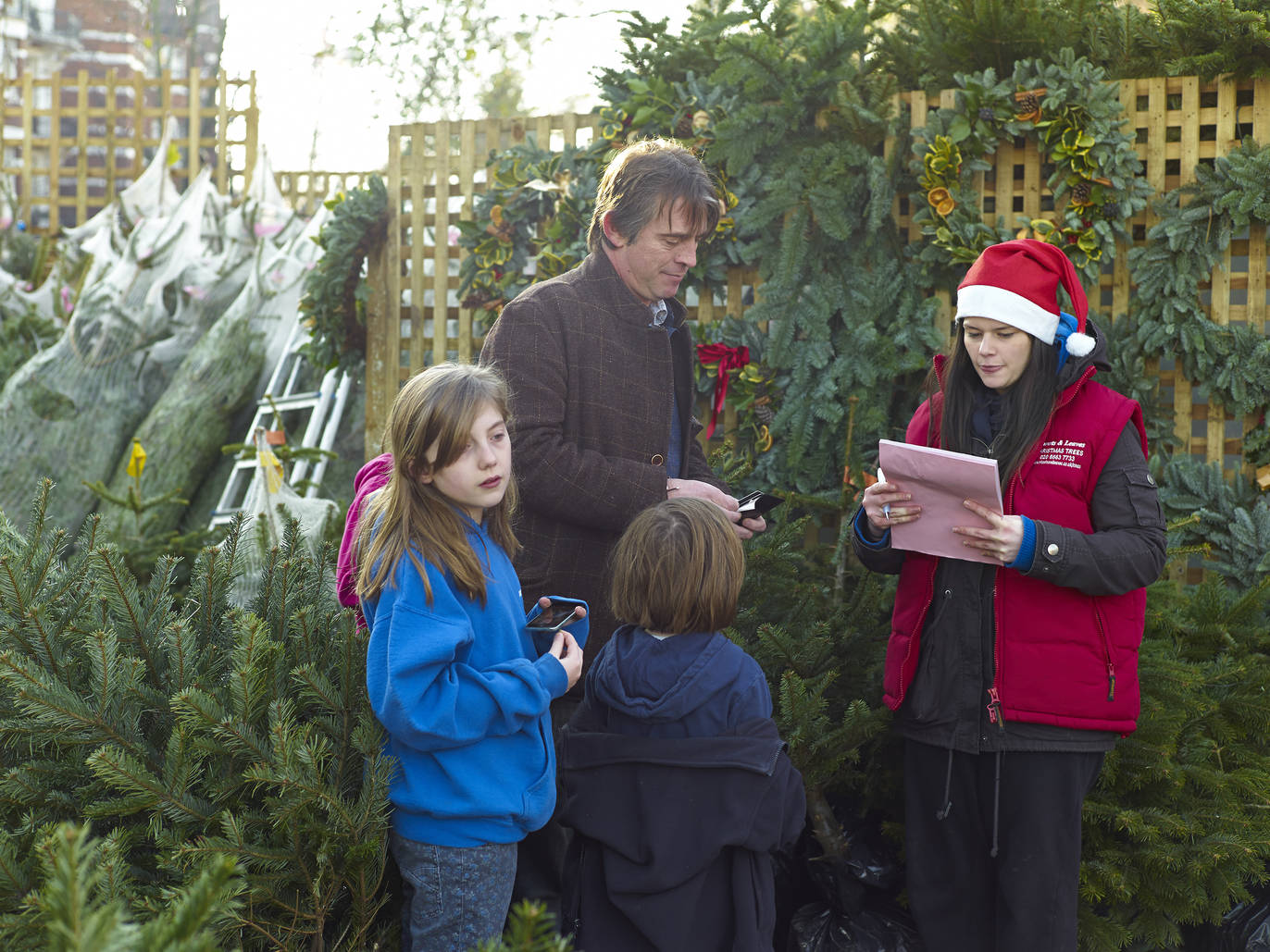 Where to buy Christmas trees in London collection and delivery