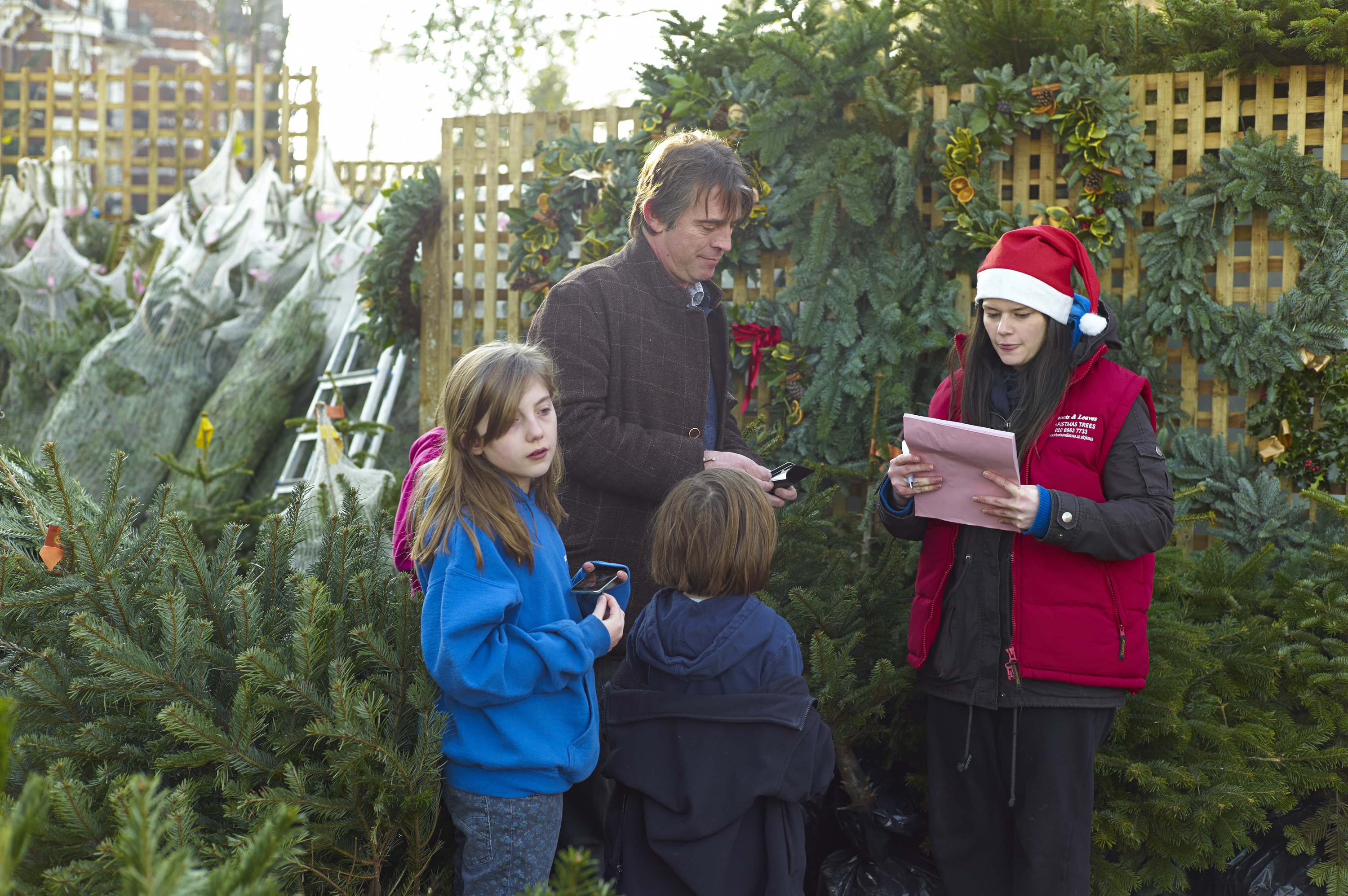 Where to buy Christmas trees in London How to get a Christmas tree