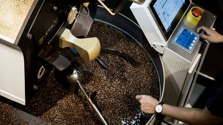 The Coffee Academics – The Roastery Lab