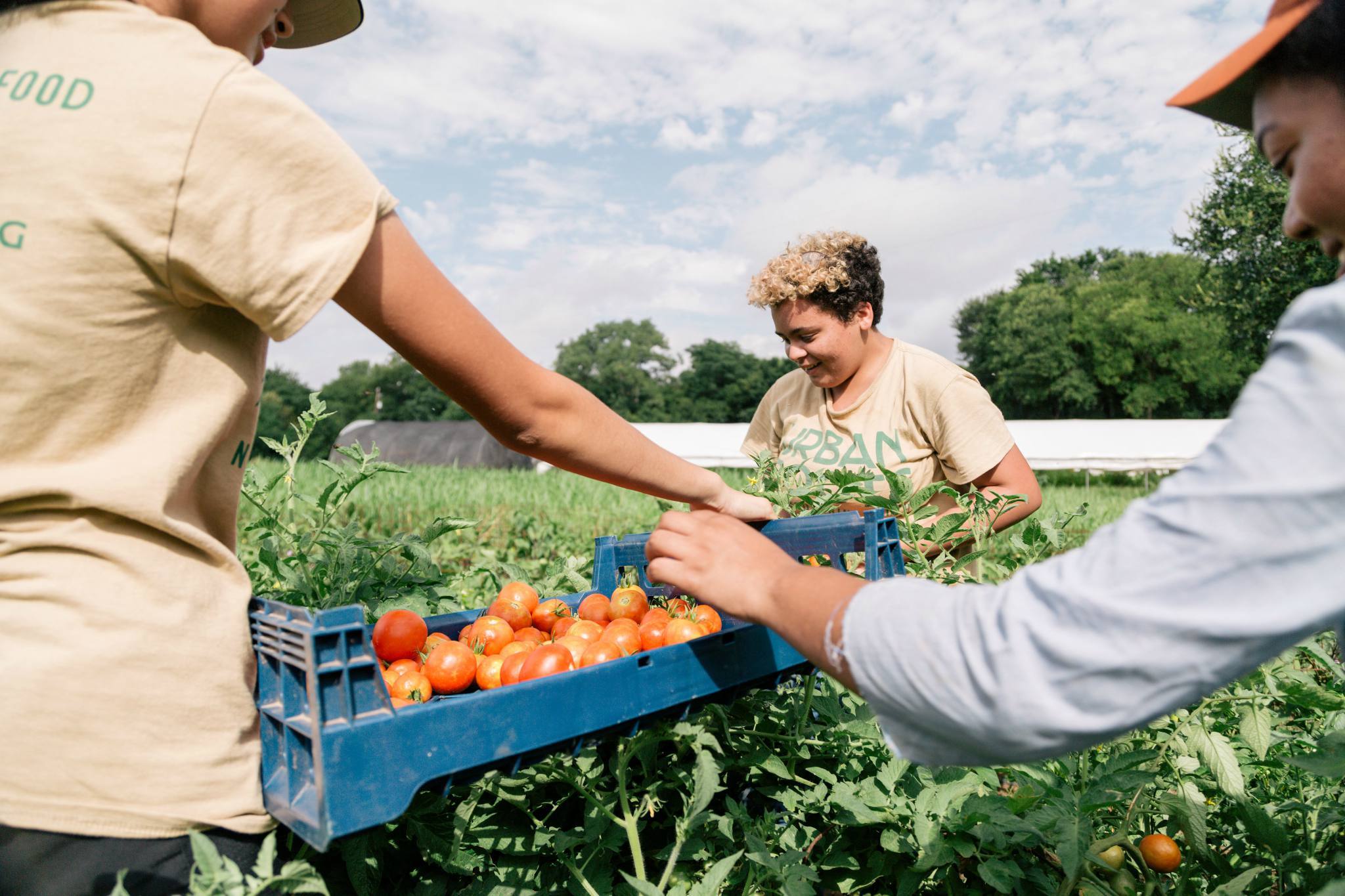 Urban Roots Things to do in Johnston Terrace, Austin
