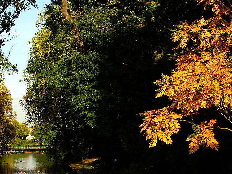 Hofgarten