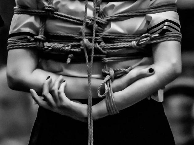 Shibari Shibari