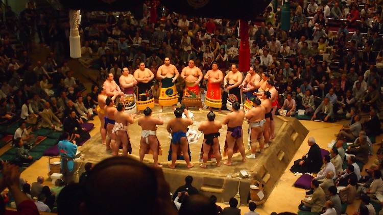 Buy on-the-day sumo tickets