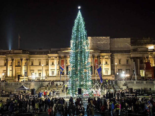 Watch The Trafalgar Square Christmas Tree Light Up This Thursday