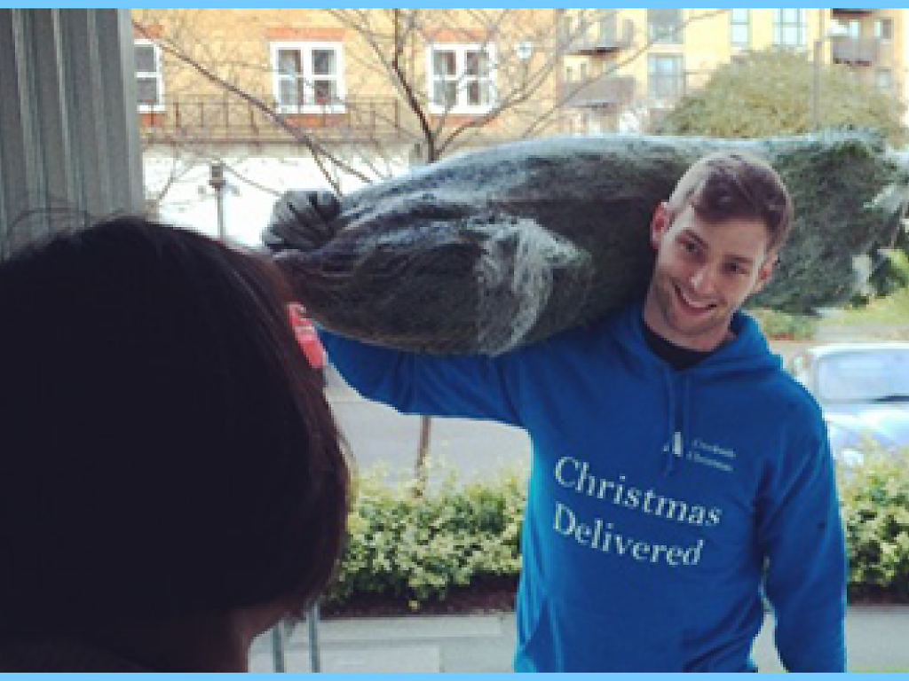 Where to buy Christmas trees in London collection and delivery