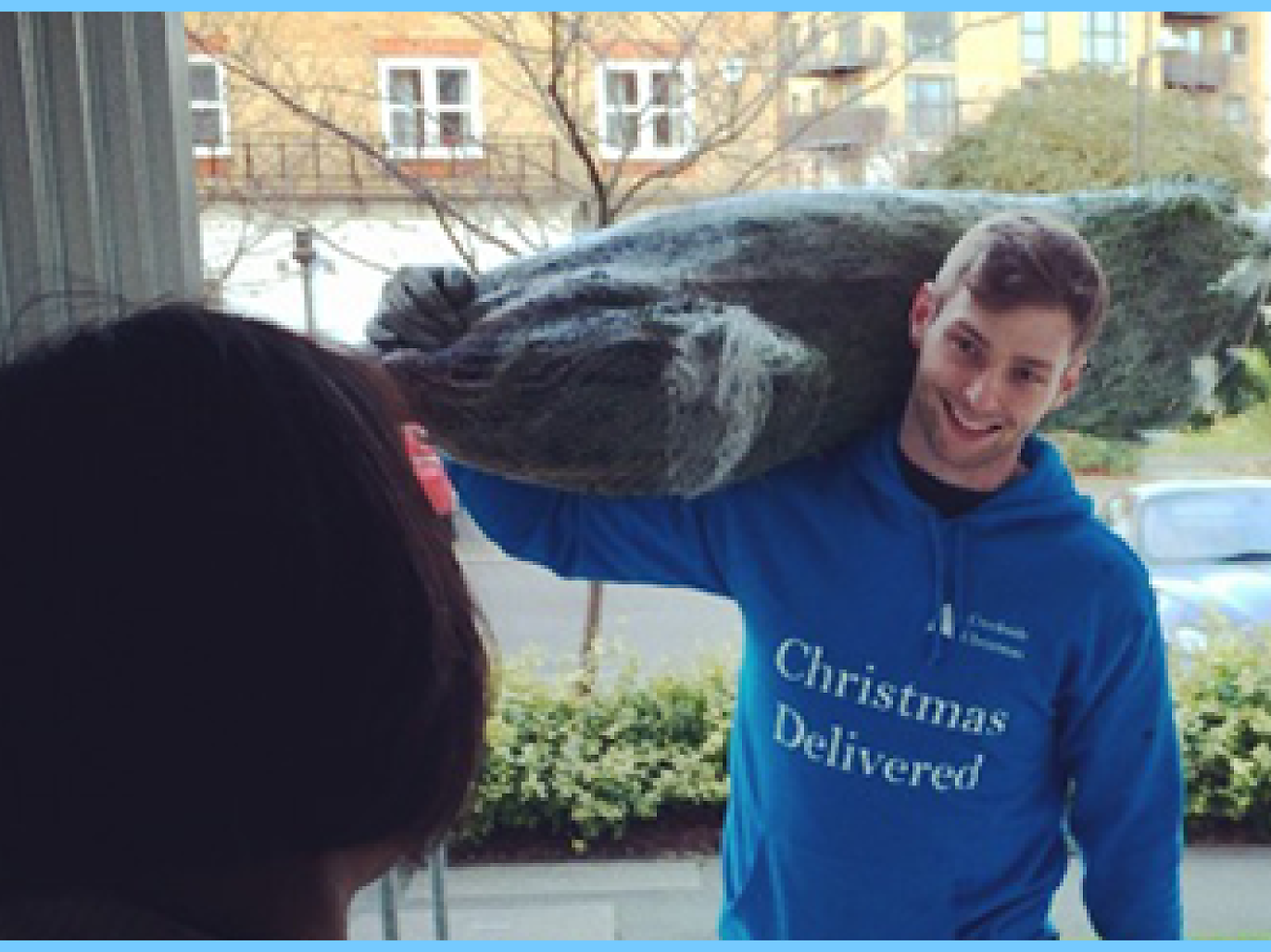 Where to buy Christmas trees in London collection and delivery