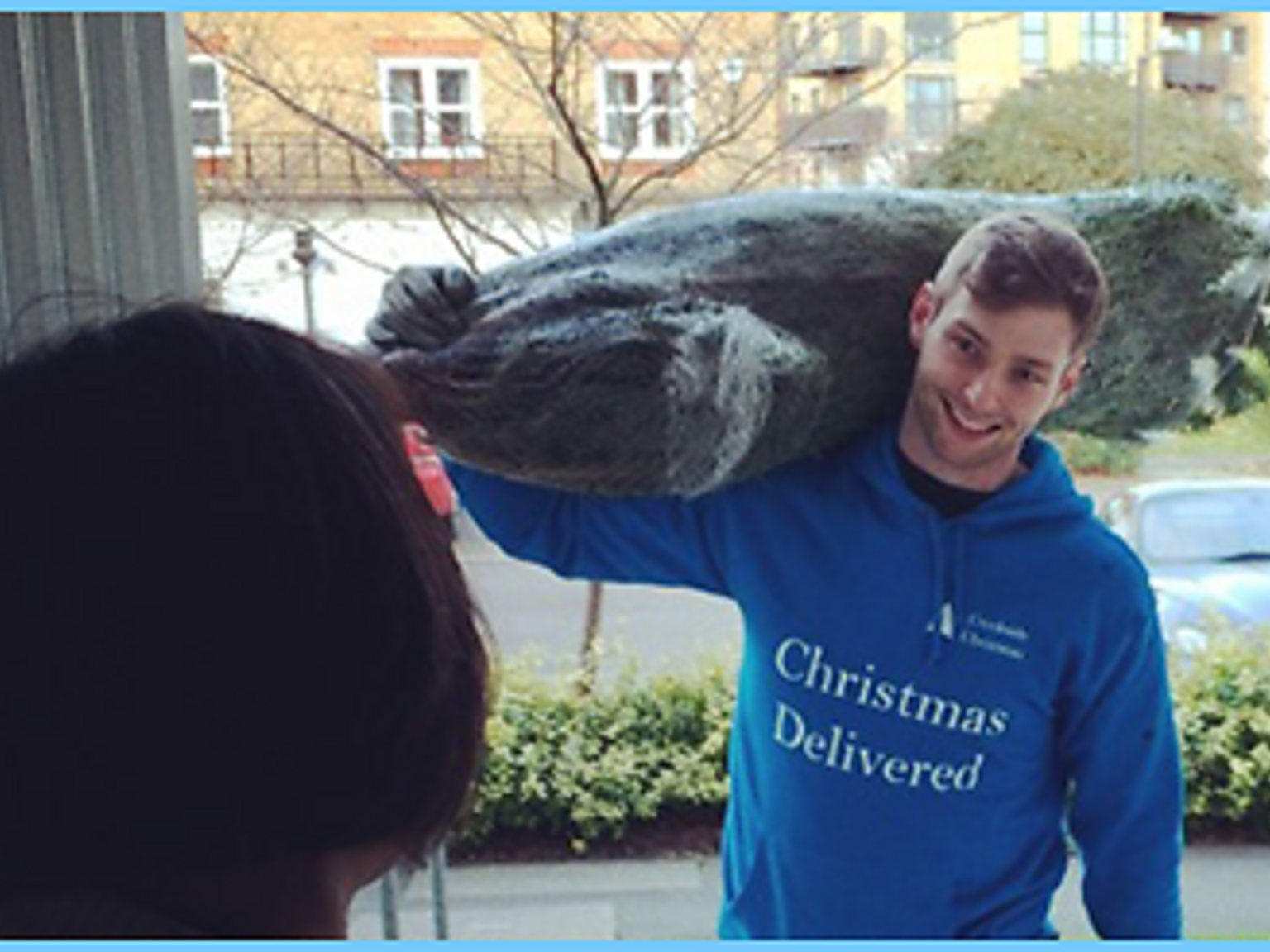 Where to buy Christmas trees in London collection and delivery