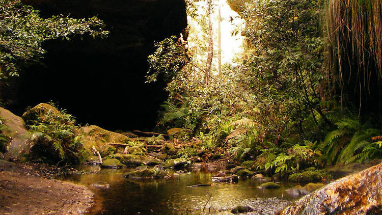 grand-canyon-track 3, Blue Mountains