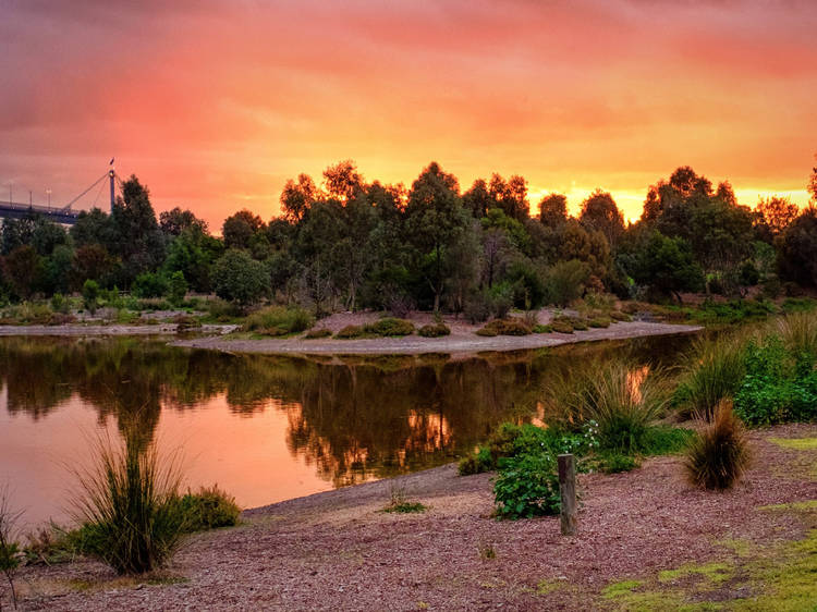 The best public barbecue spots in Melbourne