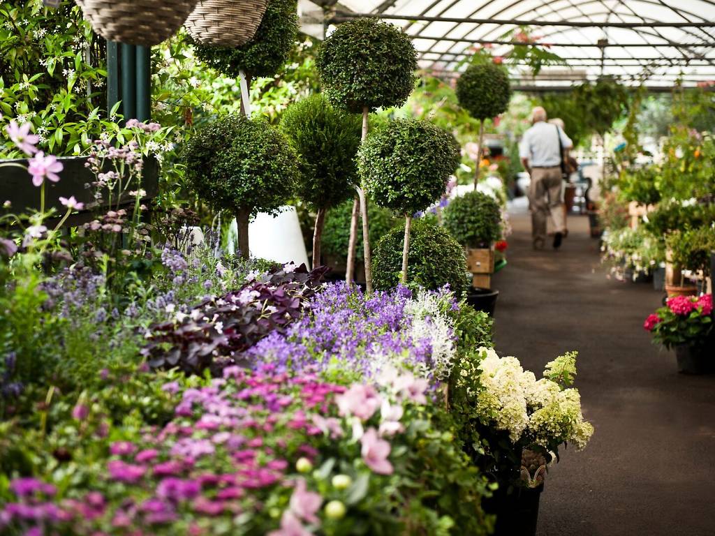 Best Garden Centres and Plant Shops in London 20 Lush Places To Buy