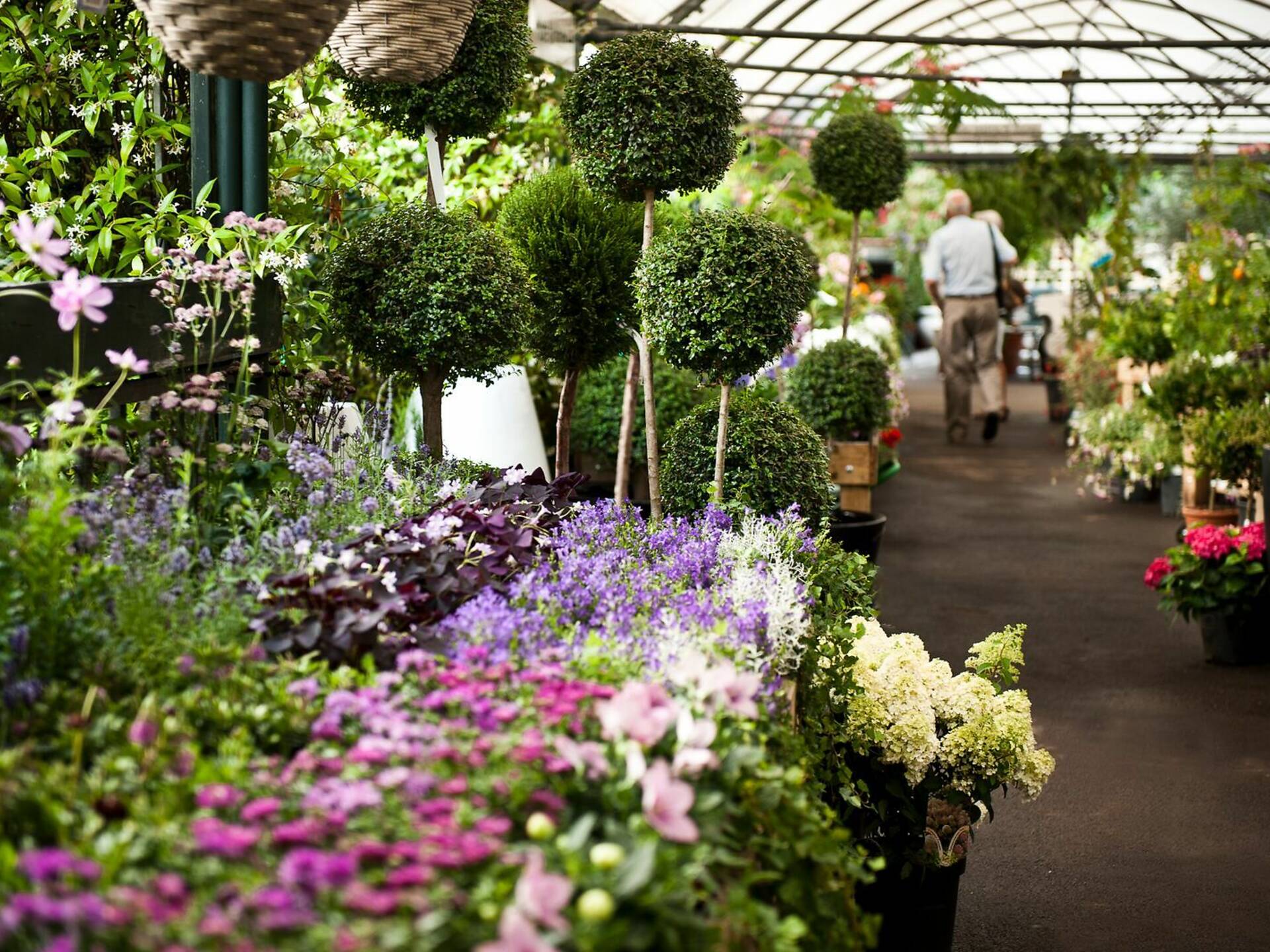 Best Garden Centres and Plant Shops in London 20 Lush Places To Buy