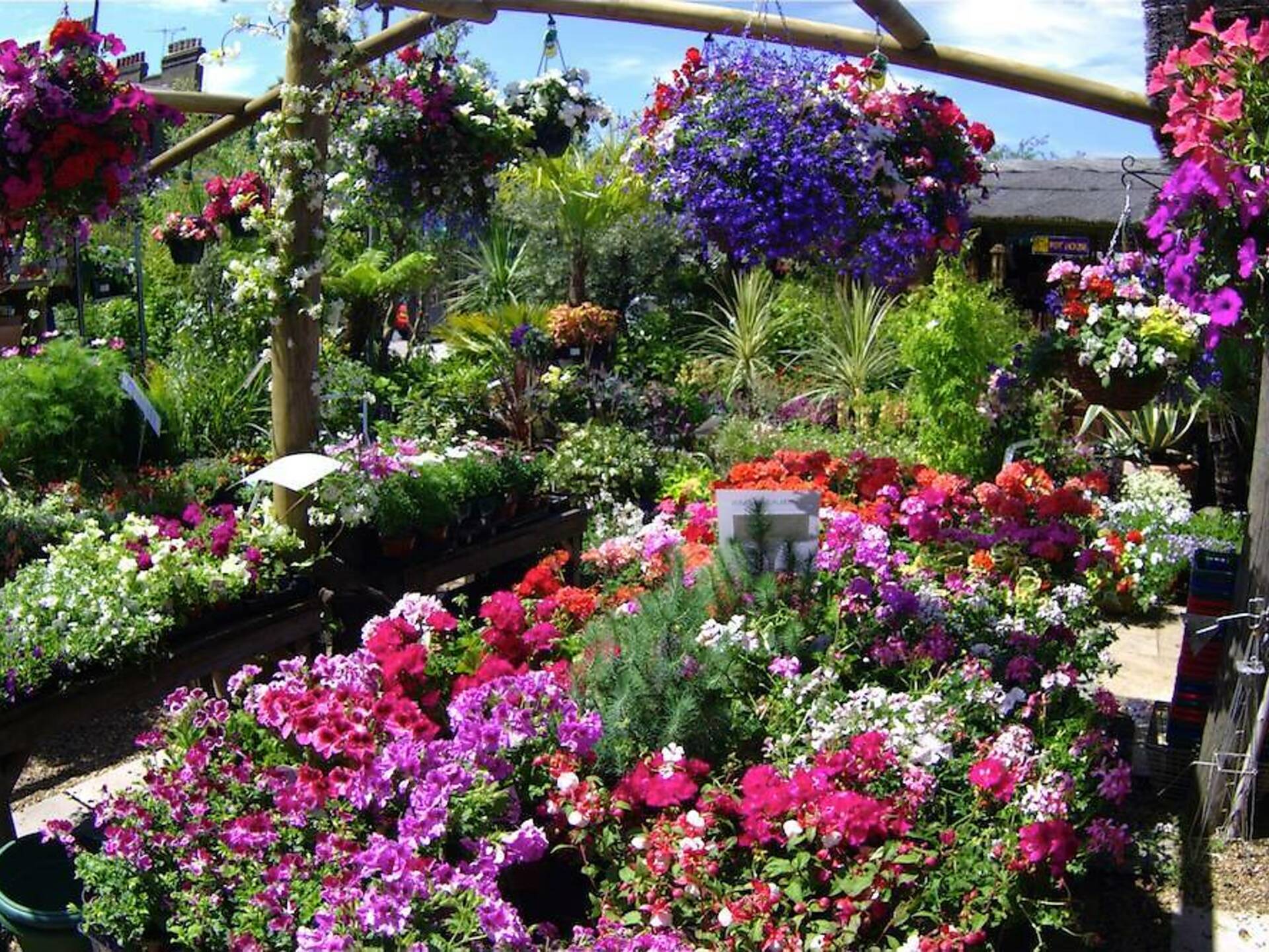 Best Garden Centres and Plant Shops in London 20 Lush Places To Buy