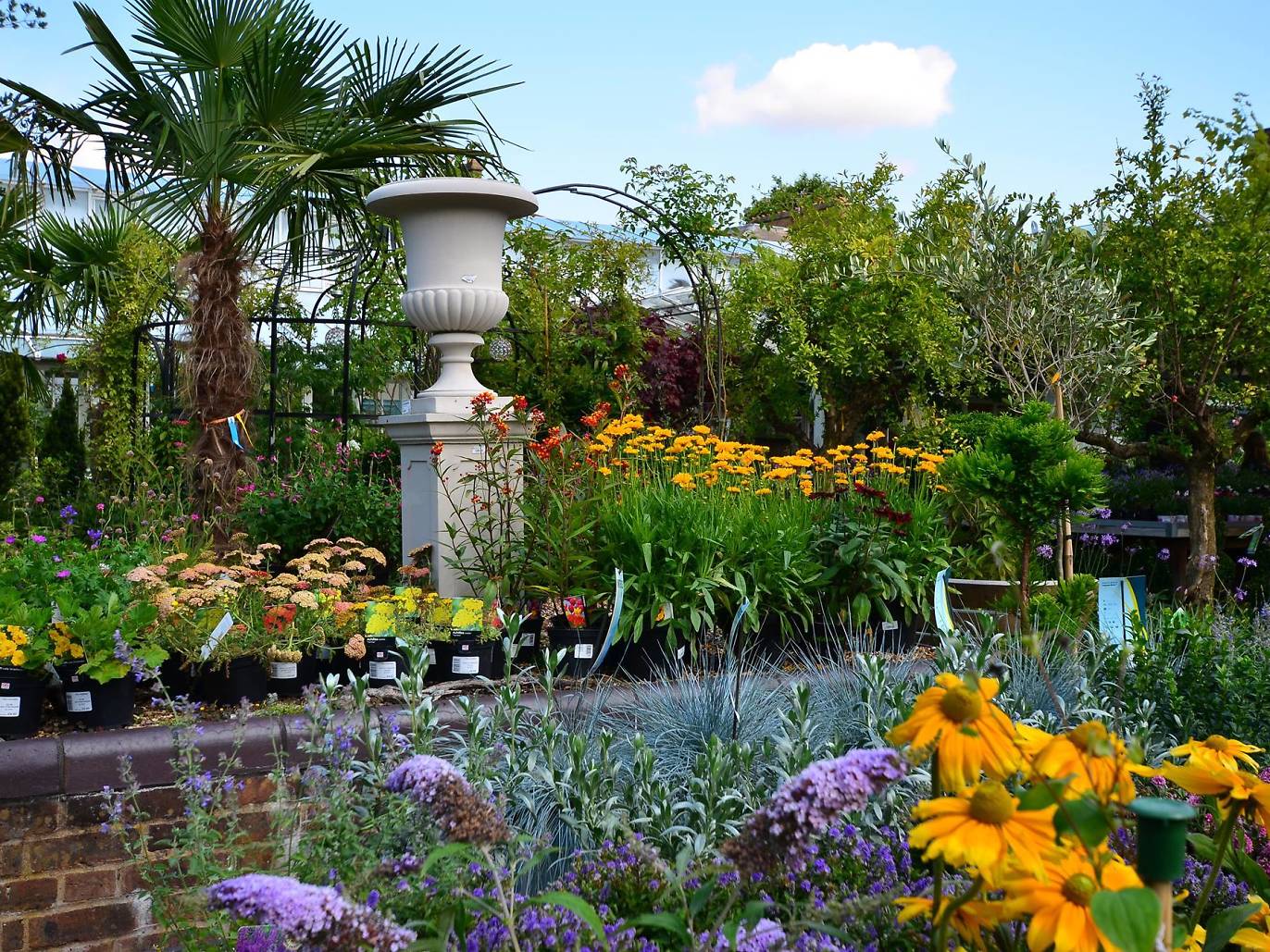 Best Garden Centres and Plant Shops in London 20 Lush Places To Buy