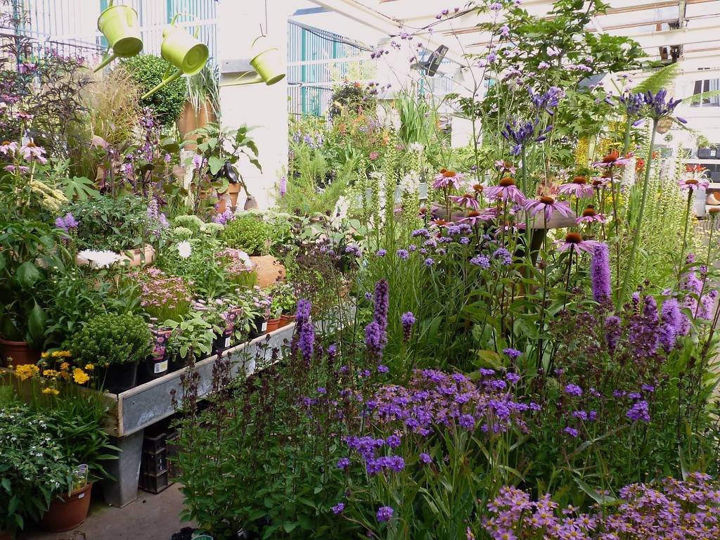 Best Garden Centres and Plant Shops in London 20 Lush Places To Buy