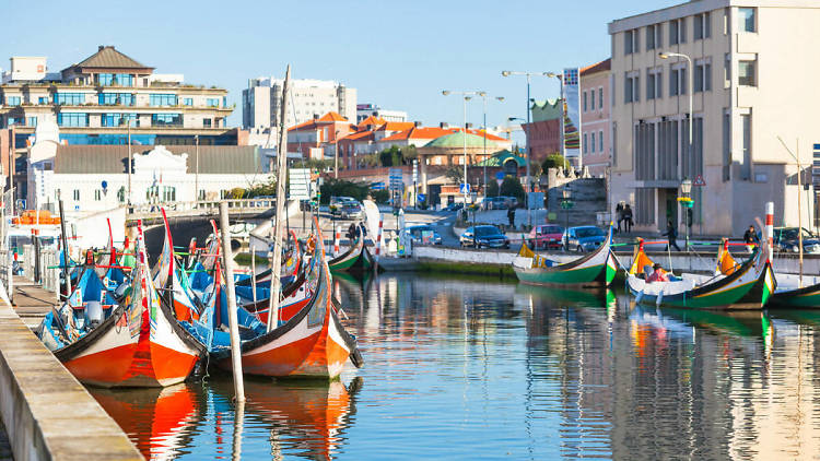 Aveiro tour and moliceiro cruise