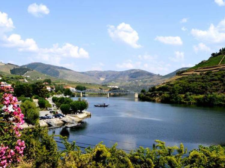 Douro Valley