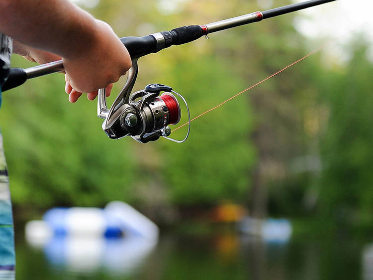 Offshore fishing excursion with Top Gun Fishing Charters