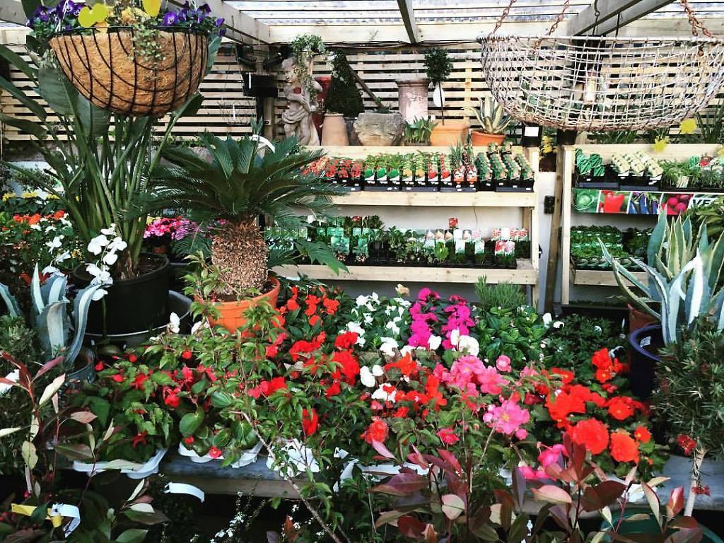 Best Garden Centres and Plant Shops in London | 20 Lush Places To Buy ...