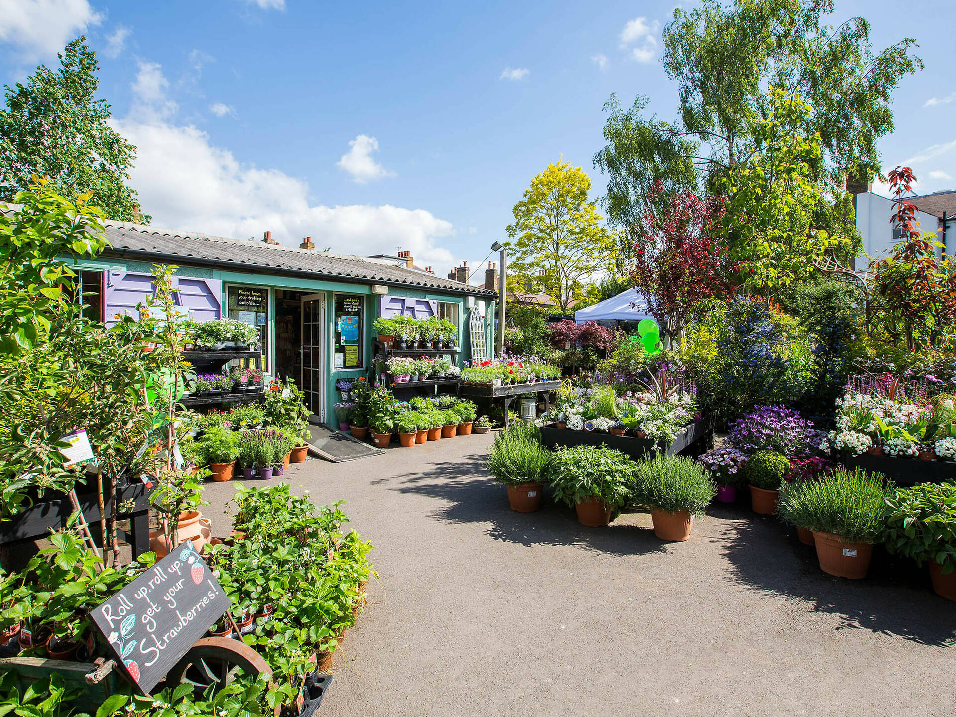 Garden Centres Near Hyde Park London