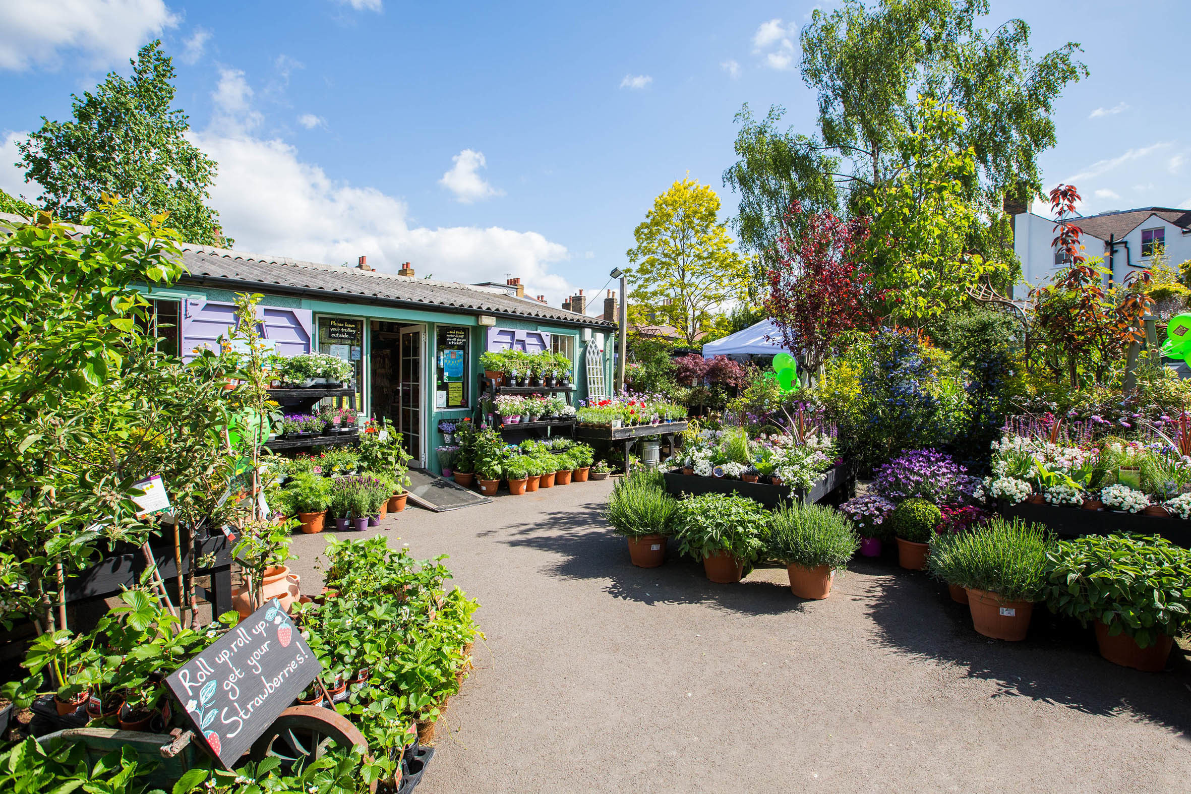 Best Garden Centres And Plant Shops In London 24 Lush Places To