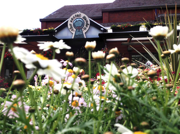 Best Garden Centres And Plant S In London 24 Lush Places To Plants Best Garden Centres And Plant S In