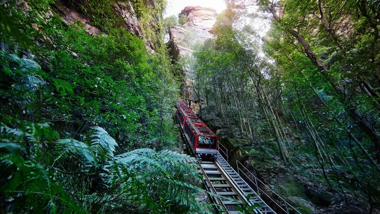 Down the hill at Scenic World