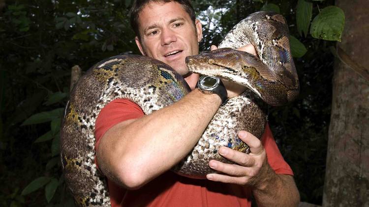 Steve Backshall with Reticulated python