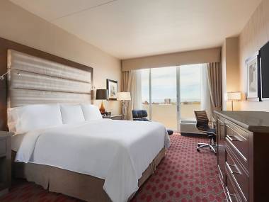 hotels near exposition park la