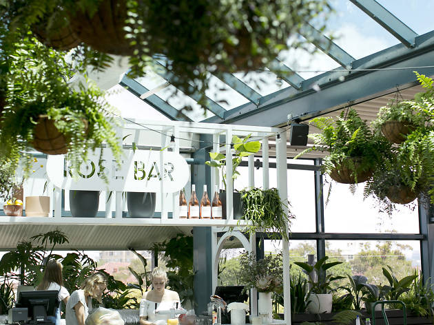 The Fernery The Fernery