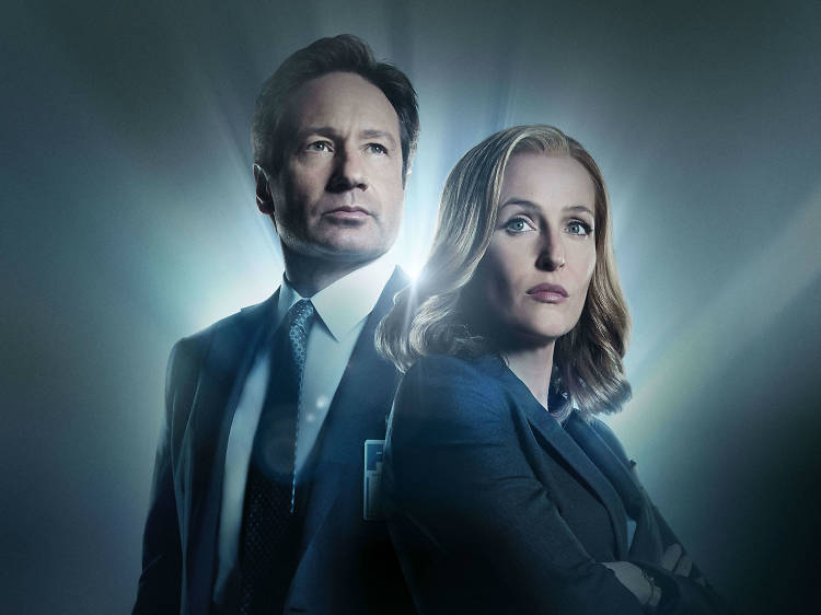 The X Files