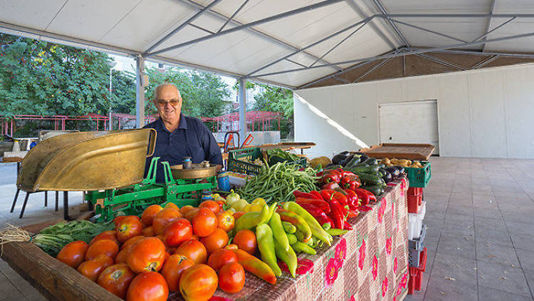 Lapad Market