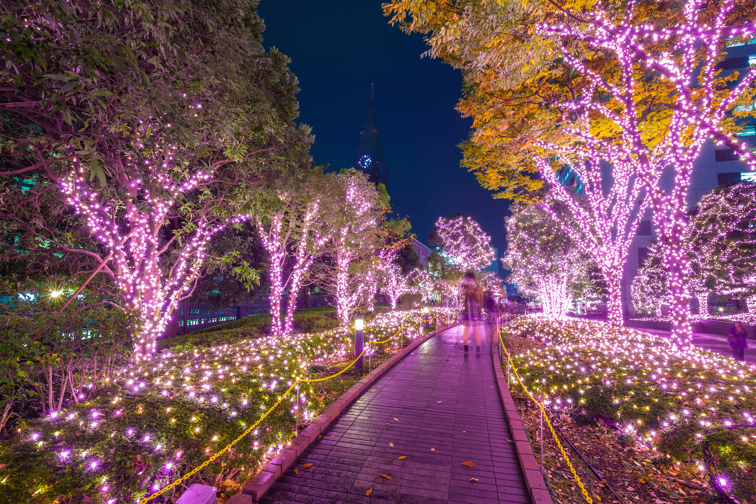 Best things to do in Tokyo this winter | Time Out Tokyo