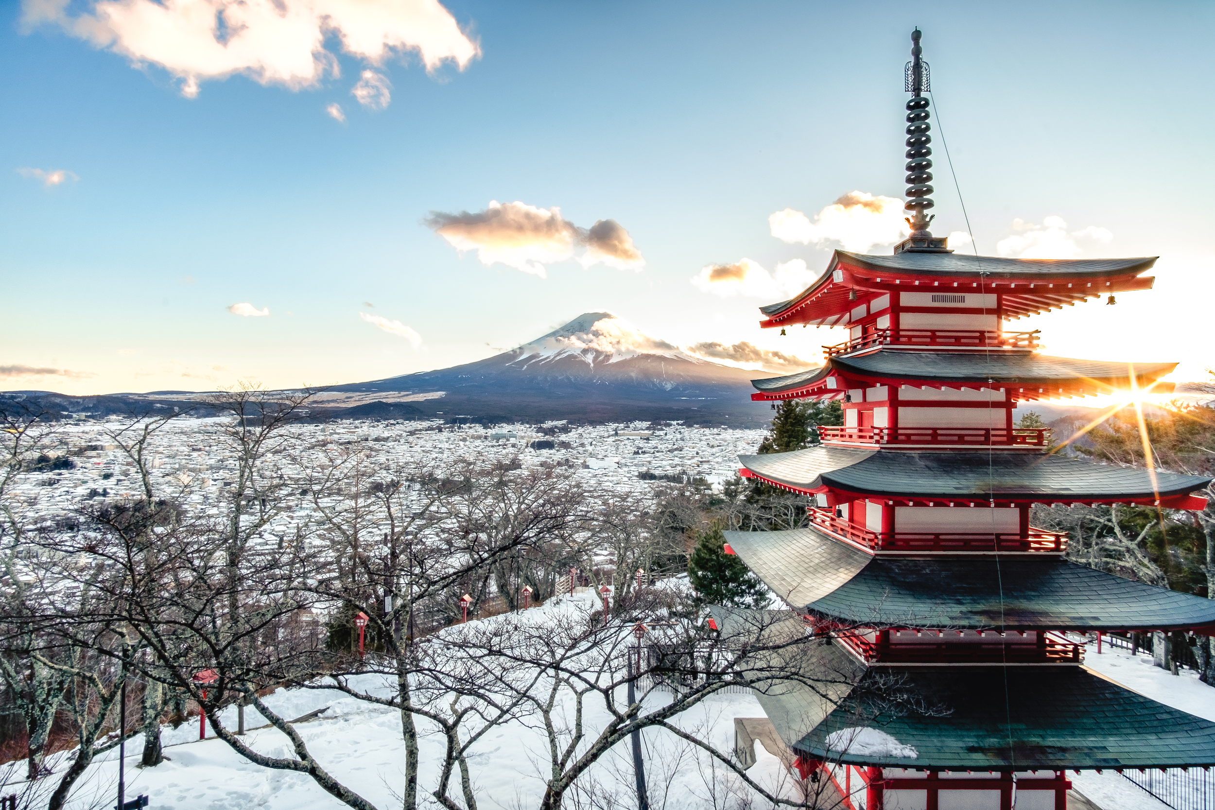 Best Things To Do In Tokyo Winter