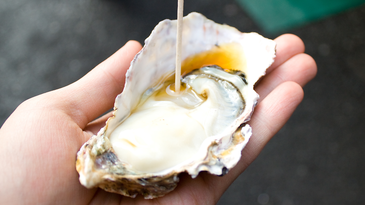 Oysters