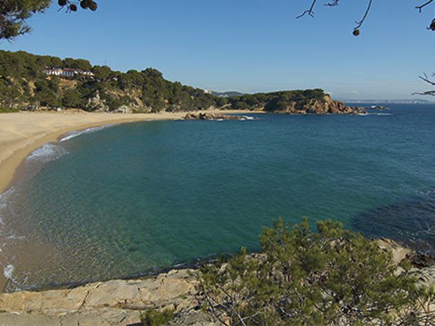 Platja de Sa Conca Platja de Sa Conca