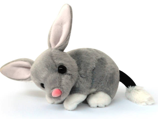 Bilby Plush toy at Taronga Zoo Bilby Plush toy at Taronga Zoo