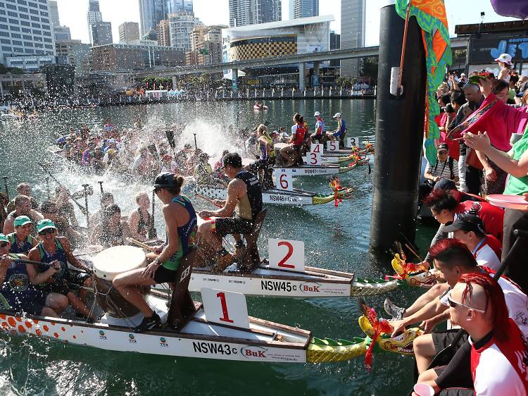 Watch the biggest dragon boat festival in the Southern Hemisphere at Cockle Bay