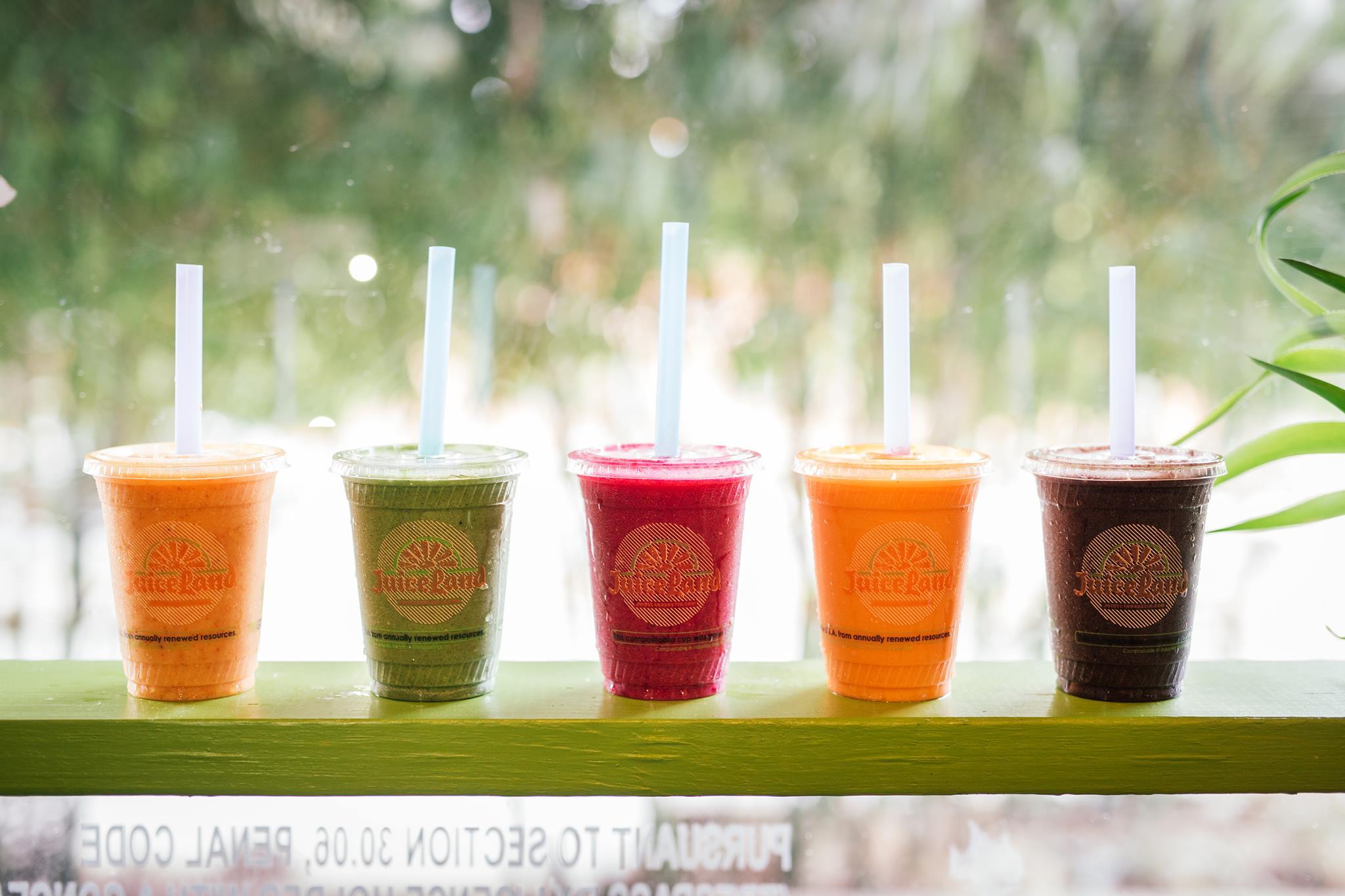 JuiceLand Restaurants in Barton Springs, Austin