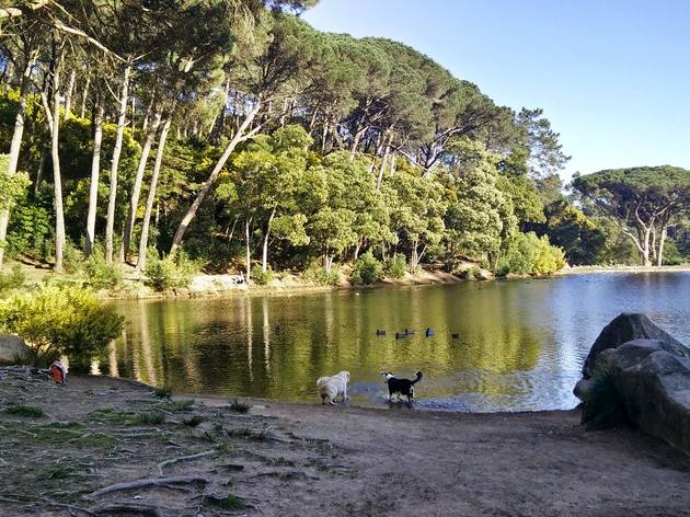 lagoa azul sintra